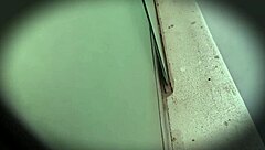 Espiando Compañera Mexicana De La Universidad En Viaje De Promoción