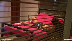 college babe tied up and fucked hard