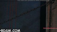 Inflicting Pleasure On Babe's Slit!