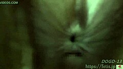 Plump Japanese Girl Aya Enjoys Anal Fetish Play With Dog Sniffing