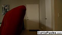 Amateur babe gets wild with James Dean in hardcore pounding video