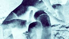 Exploring vintage erotic drawings from antique collections