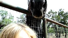 Fleshlight Girl Alexis Texas Masturbating With Toys