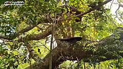 living with adam and eve in a paradise of intense anal debauchery in brazil