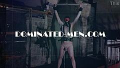 The ladies have no mercy on his cock and balls