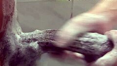 Big Step Sister Plays With Step Brother Monster Bbc While Parents Arent Home