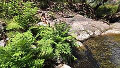 hunting a young 18+ mom, caught her curvy ass off guard