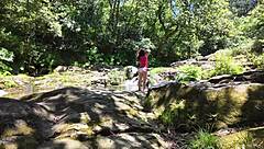 hunting a young 18+ mom, caught her curvy ass off guard