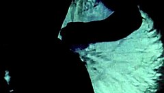 my secret vintage erotic life