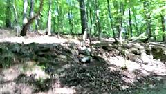 Clitlicker662在森林里疯狂！