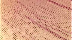 brunette babe bent over for anal by guy in feminine clothes her moans make it impossible not to cum