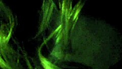 Exciting POV Video of Milf Oral and Facial Scenes