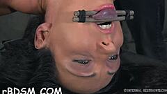 Couple Bound In Bondage For Rough Sadomasochism Sex