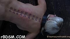 double blowjob from leo ogro arianny koda rj nicoli fox