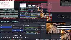 playing pc game with cute pussy companion