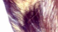 Creampie For Sister-In-Law Part 2