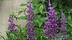 Skint Stud Lets Buddy Fuck His Lover For Cash