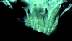 Vintage Taboo Pussy Banged Doggystyle in Retro Scene