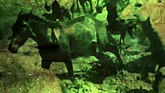 Vintage Taboo Pussy Banged Doggystyle in Retro Scene