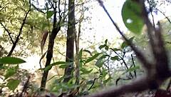 Clitlicker662 Update 11 Img 1170 Oct 11 2024