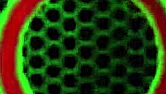 what would you do after giuliana grandi's anal romp?