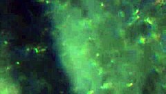 aqui tienes mas de mi esperma para preñarte 😏