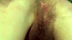 American hair pie volume 8 scene 1 features outdoor sucking