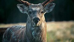 Girls Dont Cum During Yoga Female Ejaculation Tips