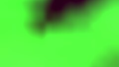 Venezuelan Married Woman Sucks Cock In Husband's House!