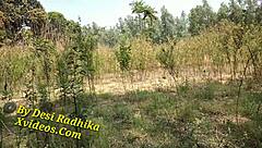 见过印度嫂子田野发骚吗？