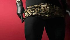 show de exibicao movimentos de strip tease danca sedutora performance de sensualidade e provocacao