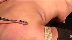 Sex and Submission Domination with Milf Slave in Basement