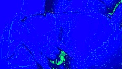 Bleu Room's Solo Anal Finger Fucking Action.