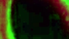 Mocha Menage Gives Sloppy Blowjob To Rome Majors Bbc.