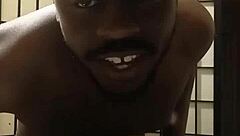 Cooking With Llamasr After Dark