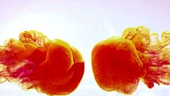 Wet and Pissy Toy Play Session