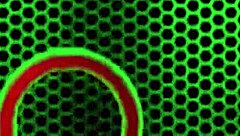 Pawg Kimber Lee Undresses Slowly