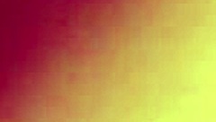 doggy style shot with macro lens close up