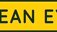 I love sucking my boss's monster cock