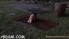 free sadomasochism sex stories