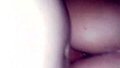 dandole de perrito en el hotel