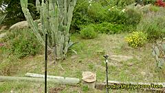 Teen Seduced Nudist Neighbor With Juicy Hairy Pussy On Beach