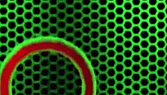 i tell you, multi orgasmic nympho eva yi gets rammed in the pussy by rome major