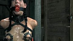 shocking prod game on bound chick's tits and shaved area