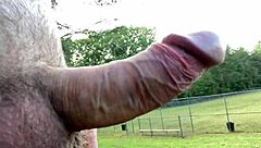 clitlicker662 update 10 img 1213 oct 04 2024