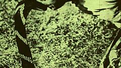 I love how dark lantern entertainment brings beauty and the beast to life with vintage charm