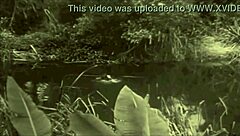 I love how dark lantern entertainment brings beauty and the beast to life with vintage charm