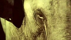 I love how dark lantern entertainment brings beauty and the beast to life with vintage charm