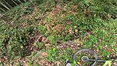 surprising a girl in the forest leads to public fucking