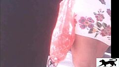 my street cat adventure number one